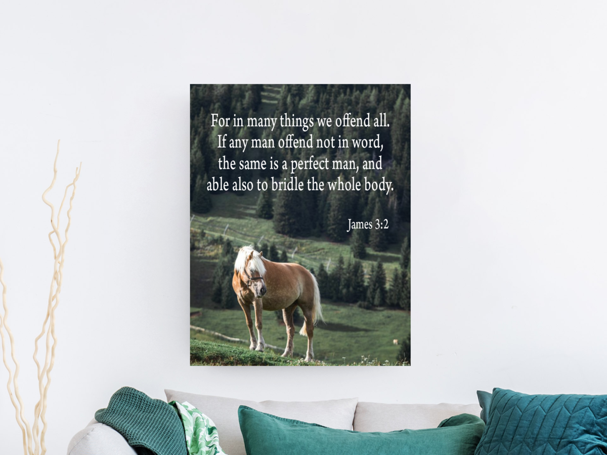 Scripture Walls For in Many Things We Offend All James 3:2 Scripture Bible Verse Canvas Christian Wall Art Ready to Hang Unframed-Express Your Love Gifts