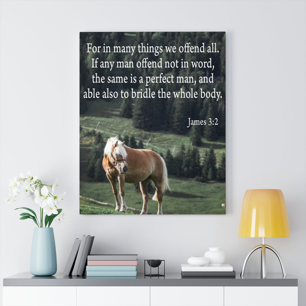 Scripture Walls For in Many Things We Offend All James 3:2 Scripture Bible Verse Canvas Christian Wall Art Ready to Hang Unframed-Express Your Love Gifts
