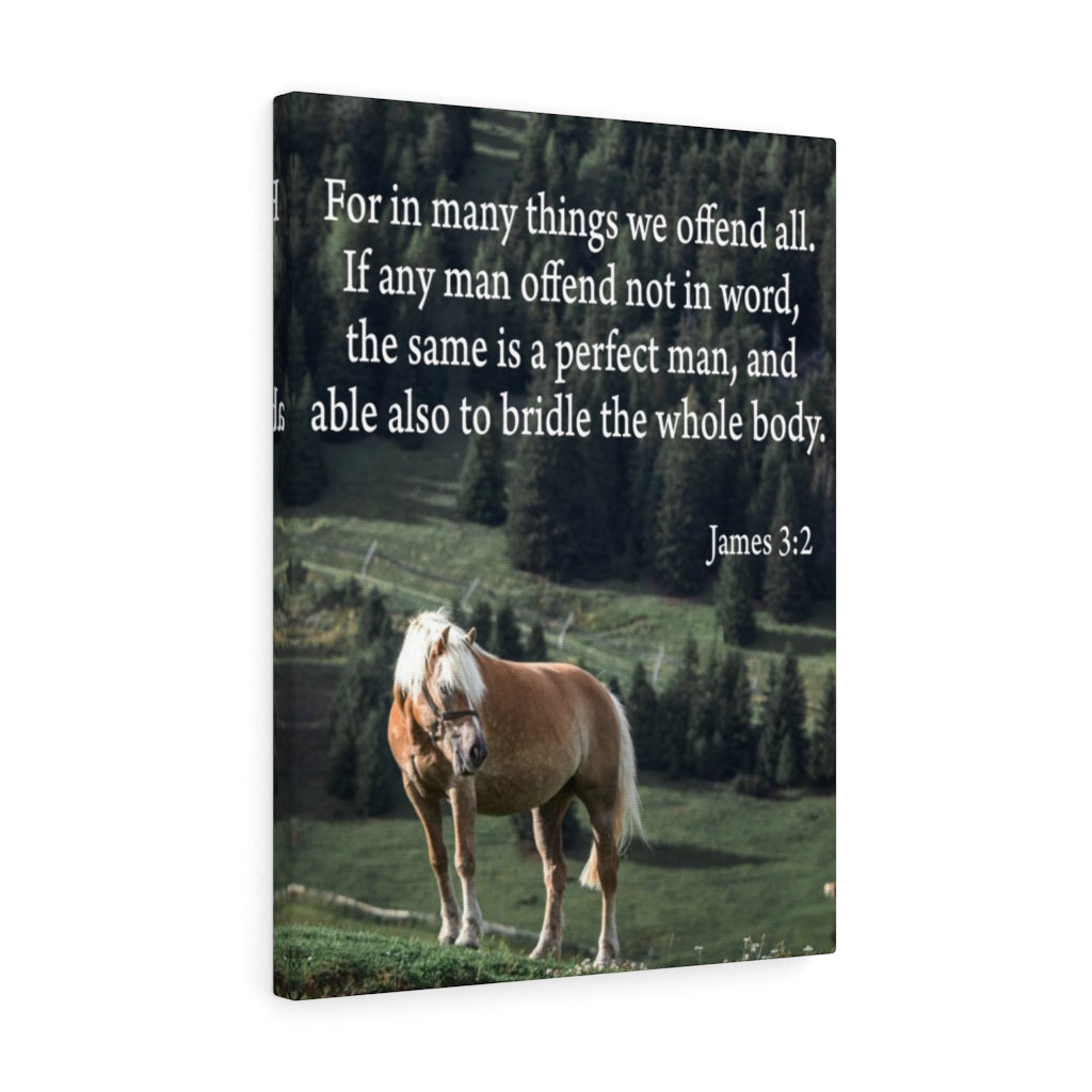 Scripture Walls For in Many Things We Offend All James 3:2 Scripture Bible Verse Canvas Christian Wall Art Ready to Hang Unframed-Express Your Love Gifts