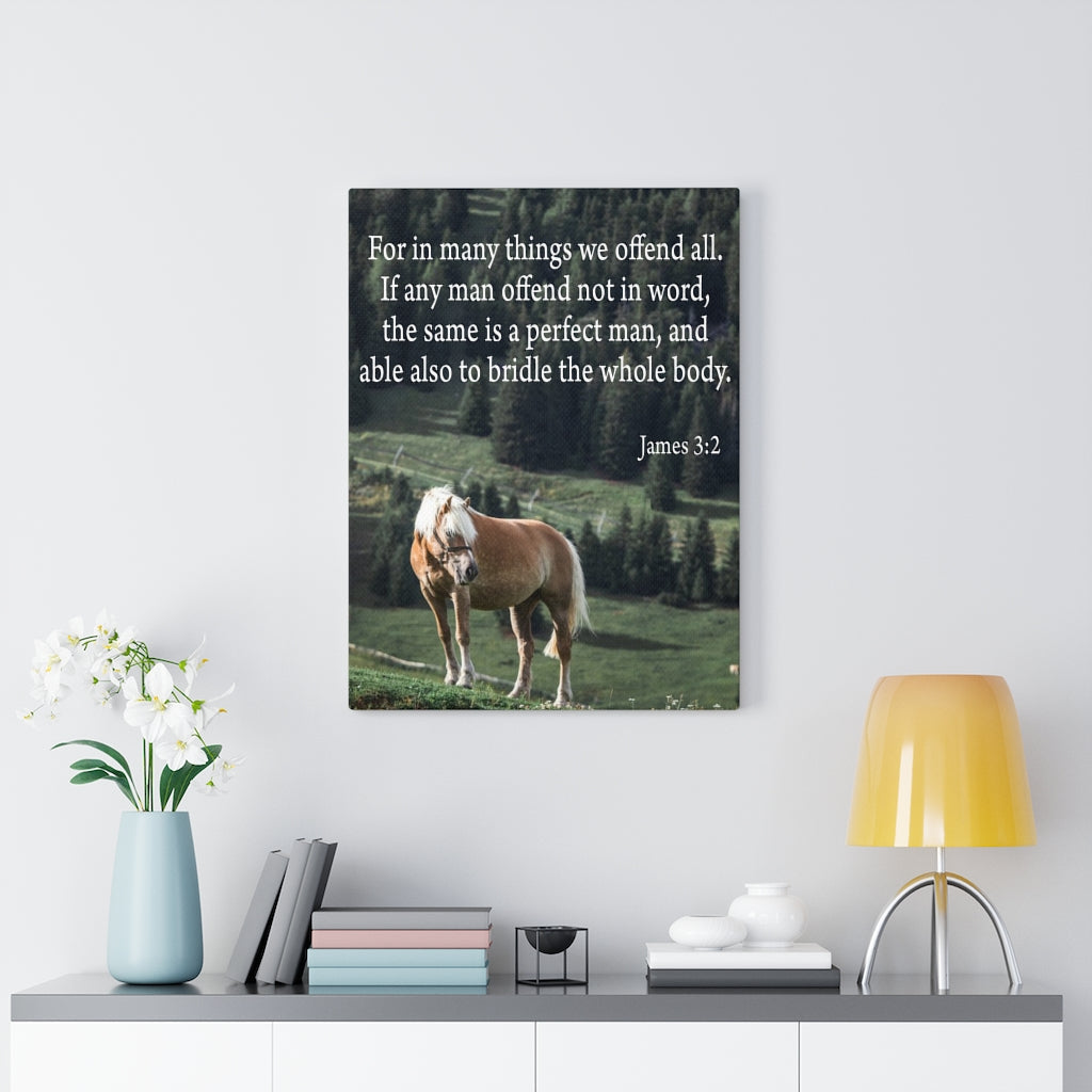 Scripture Walls For in Many Things We Offend All James 3:2 Scripture Bible Verse Canvas Christian Wall Art Ready to Hang Unframed-Express Your Love Gifts