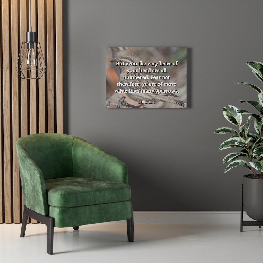 Scripture Walls Forgotten Luke 12:7 Bible Verse Canvas Christian Wall Art Ready to Hang Unframed-Express Your Love Gifts