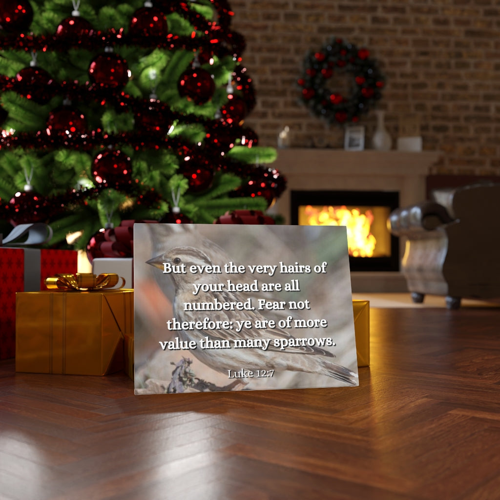 Scripture Walls Forgotten Luke 12:7 Bible Verse Canvas Christian Wall Art Ready to Hang Unframed-Express Your Love Gifts