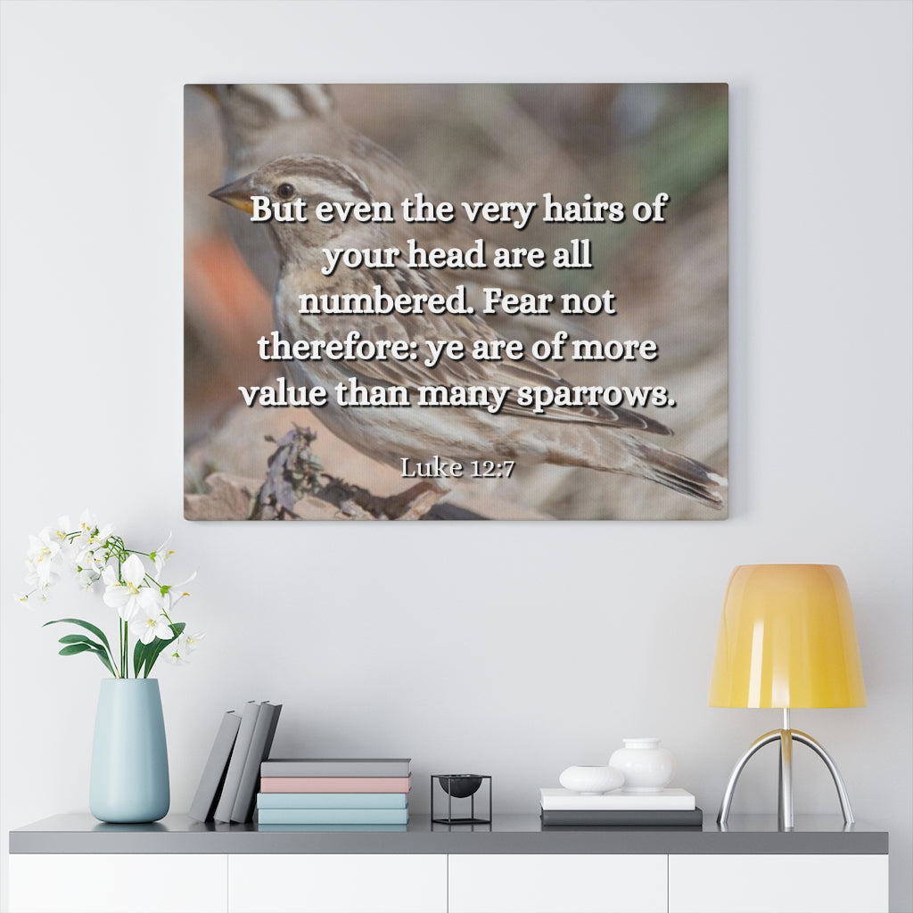 Scripture Walls Forgotten Luke 12:7 Bible Verse Canvas Christian Wall Art Ready to Hang Unframed-Express Your Love Gifts