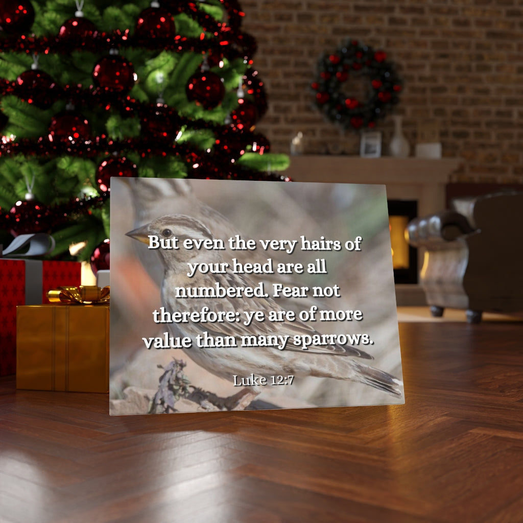 Scripture Walls Forgotten Luke 12:7 Bible Verse Canvas Christian Wall Art Ready to Hang Unframed-Express Your Love Gifts