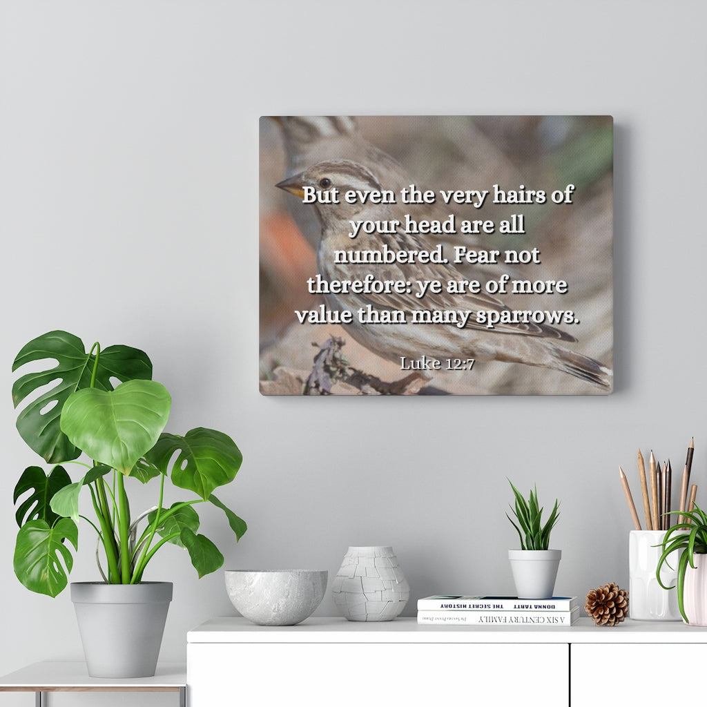 Scripture Walls Forgotten Luke 12:7 Bible Verse Canvas Christian Wall Art Ready to Hang Unframed-Express Your Love Gifts