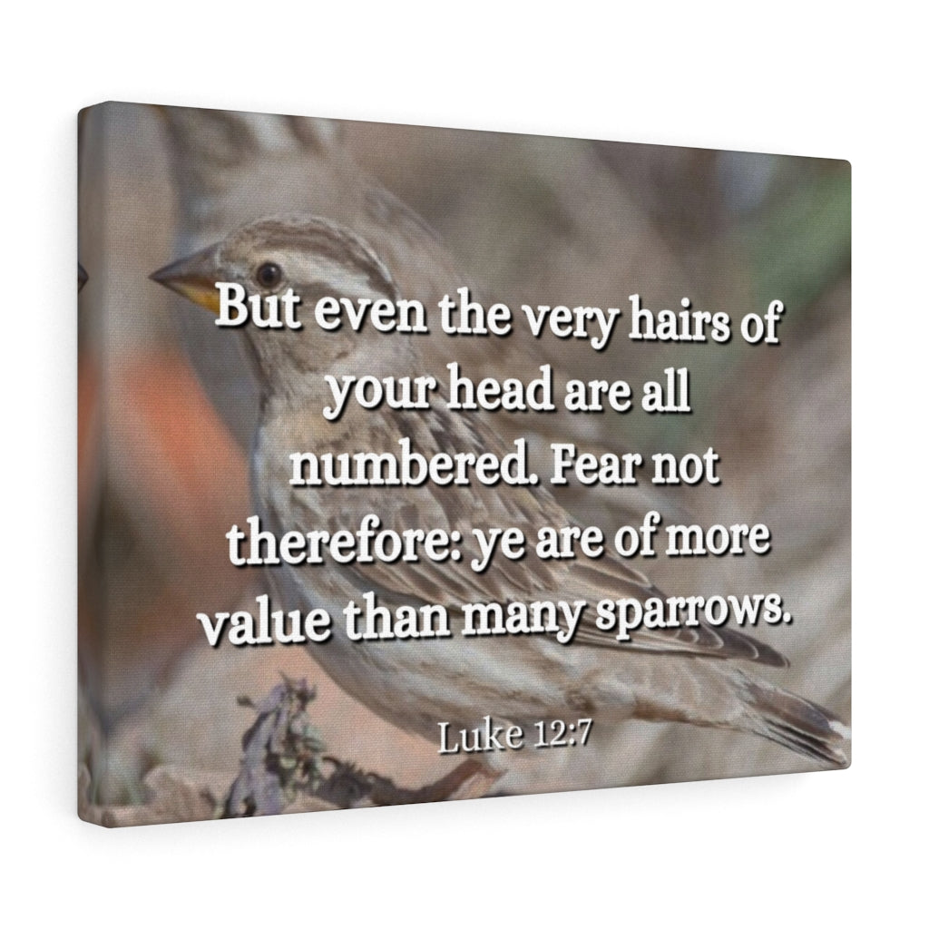 Scripture Walls Forgotten Luke 12:7 Bible Verse Canvas Christian Wall Art Ready to Hang Unframed-Express Your Love Gifts