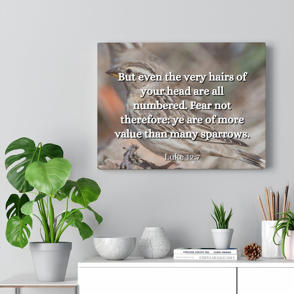 Scripture Walls Forgotten Luke 12:7 Bible Verse Canvas Christian Wall Art Ready to Hang Unframed-Express Your Love Gifts