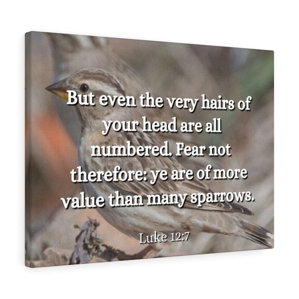 Scripture Walls Forgotten Luke 12:7 Bible Verse Canvas Christian Wall Art Ready to Hang Unframed-Express Your Love Gifts
