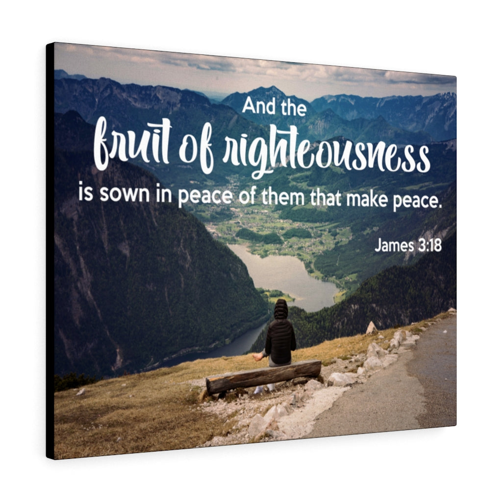 Scripture Walls Fruit of Righteousness James 3:18 Bible Verse Canvas Christian Wall Art Ready to Hang Unframed-Express Your Love Gifts