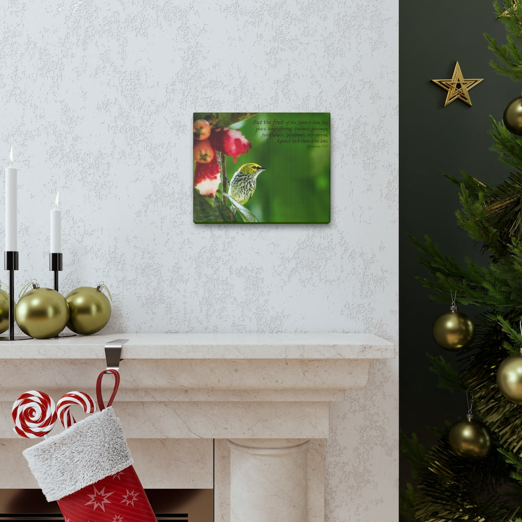 Scripture Walls Fruit Of The Spirit Galatians 5:25 Bible Verse Canvas Christian Wall Art Ready to Hang Unframed-Express Your Love Gifts