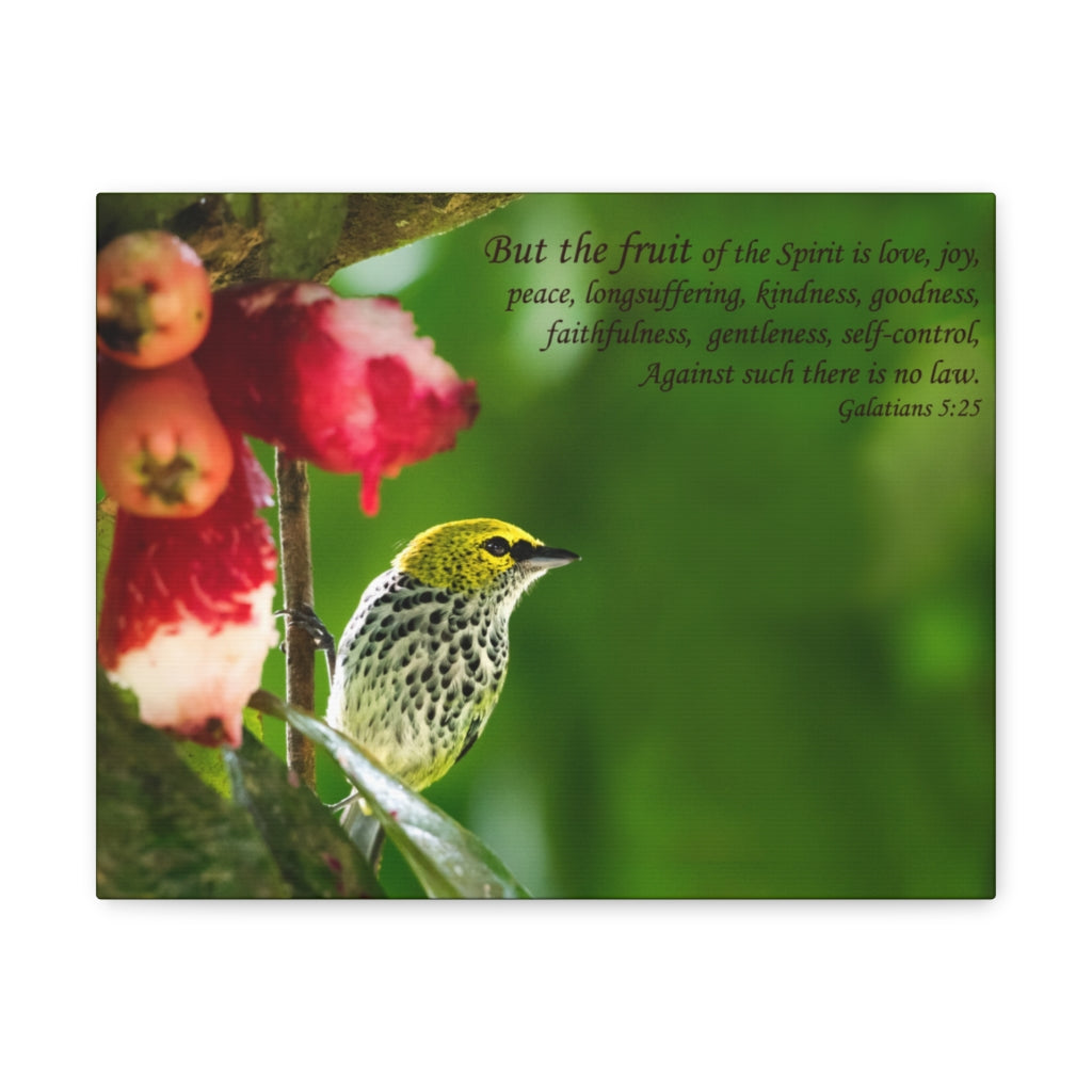 Scripture Walls Fruit Of The Spirit Galatians 5:25 Bible Verse Canvas Christian Wall Art Ready to Hang Unframed-Express Your Love Gifts