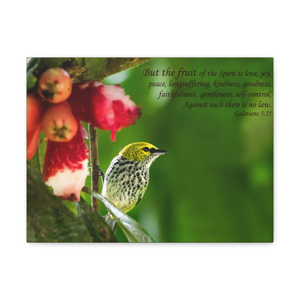 Scripture Walls Fruit Of The Spirit Galatians 5:25 Bible Verse Canvas Christian Wall Art Ready to Hang Unframed-Express Your Love Gifts