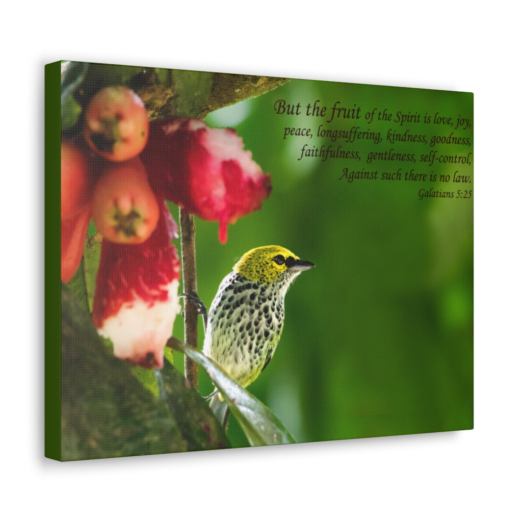 Scripture Walls Fruit Of The Spirit Galatians 5:25 Bible Verse Canvas Christian Wall Art Ready to Hang Unframed-Express Your Love Gifts