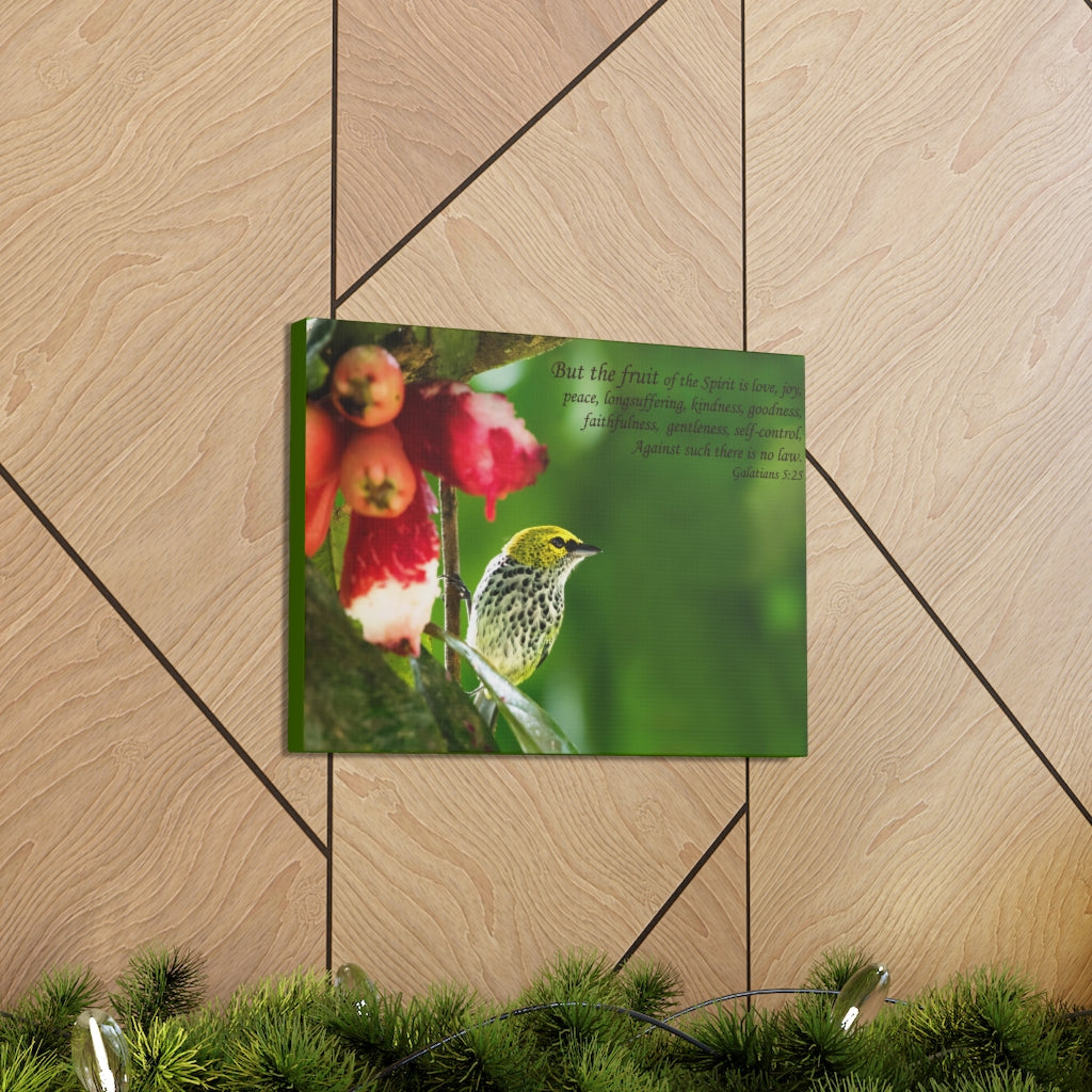 Scripture Walls Fruit Of The Spirit Galatians 5:25 Bible Verse Canvas Christian Wall Art Ready to Hang Unframed-Express Your Love Gifts