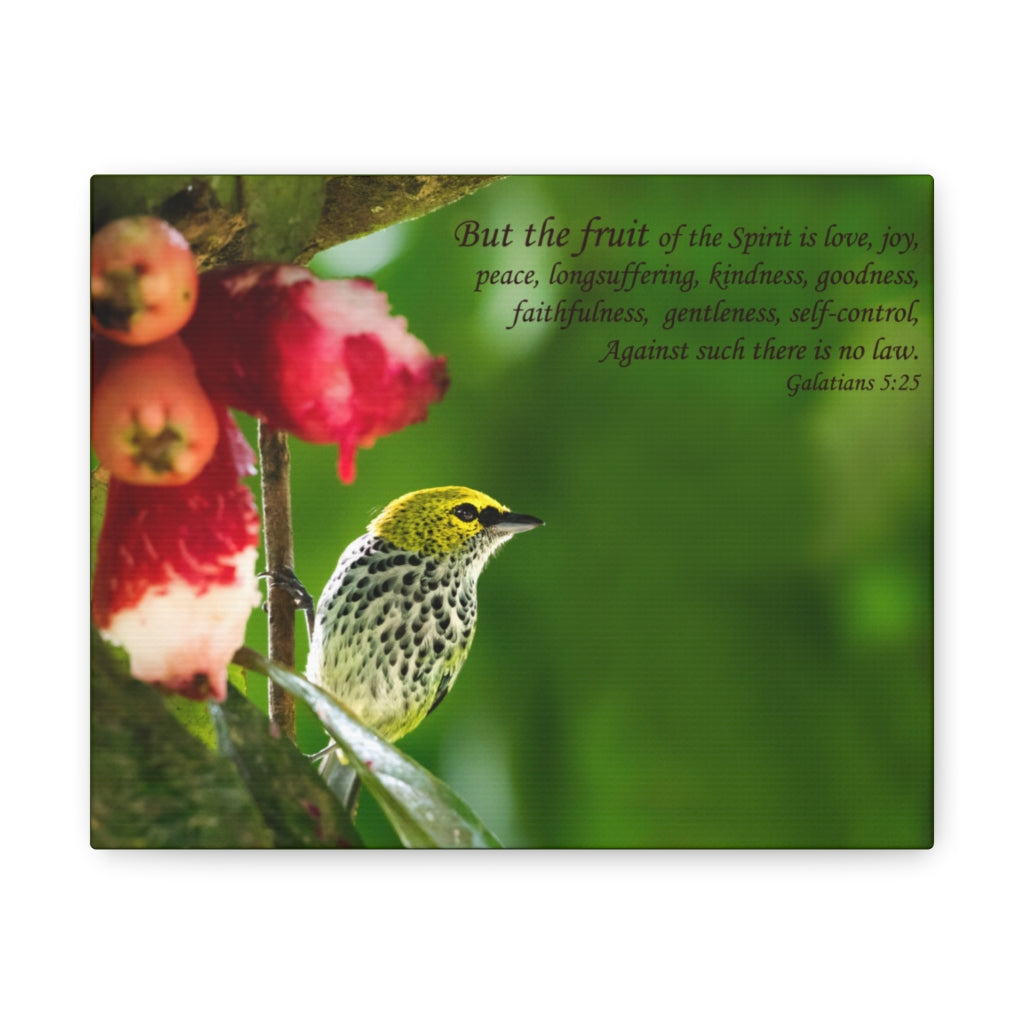 Scripture Walls Fruit Of The Spirit Galatians 5:25 Bible Verse Canvas Christian Wall Art Ready to Hang Unframed-Express Your Love Gifts