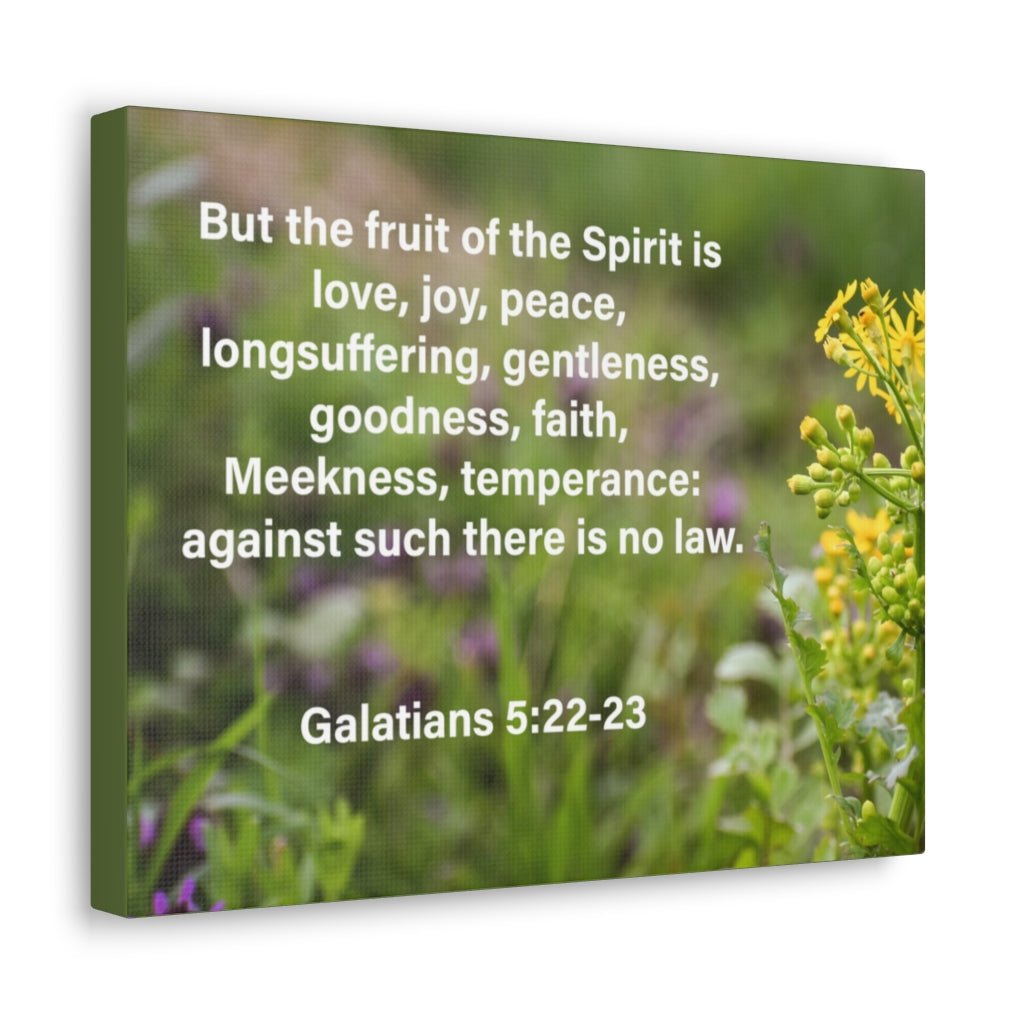 Scripture Walls Gentleness Goodness Faith Galatians 5:22-23 Bible Verse Canvas Christian Wall Art Ready to Hang Unframed-Express Your Love Gifts
