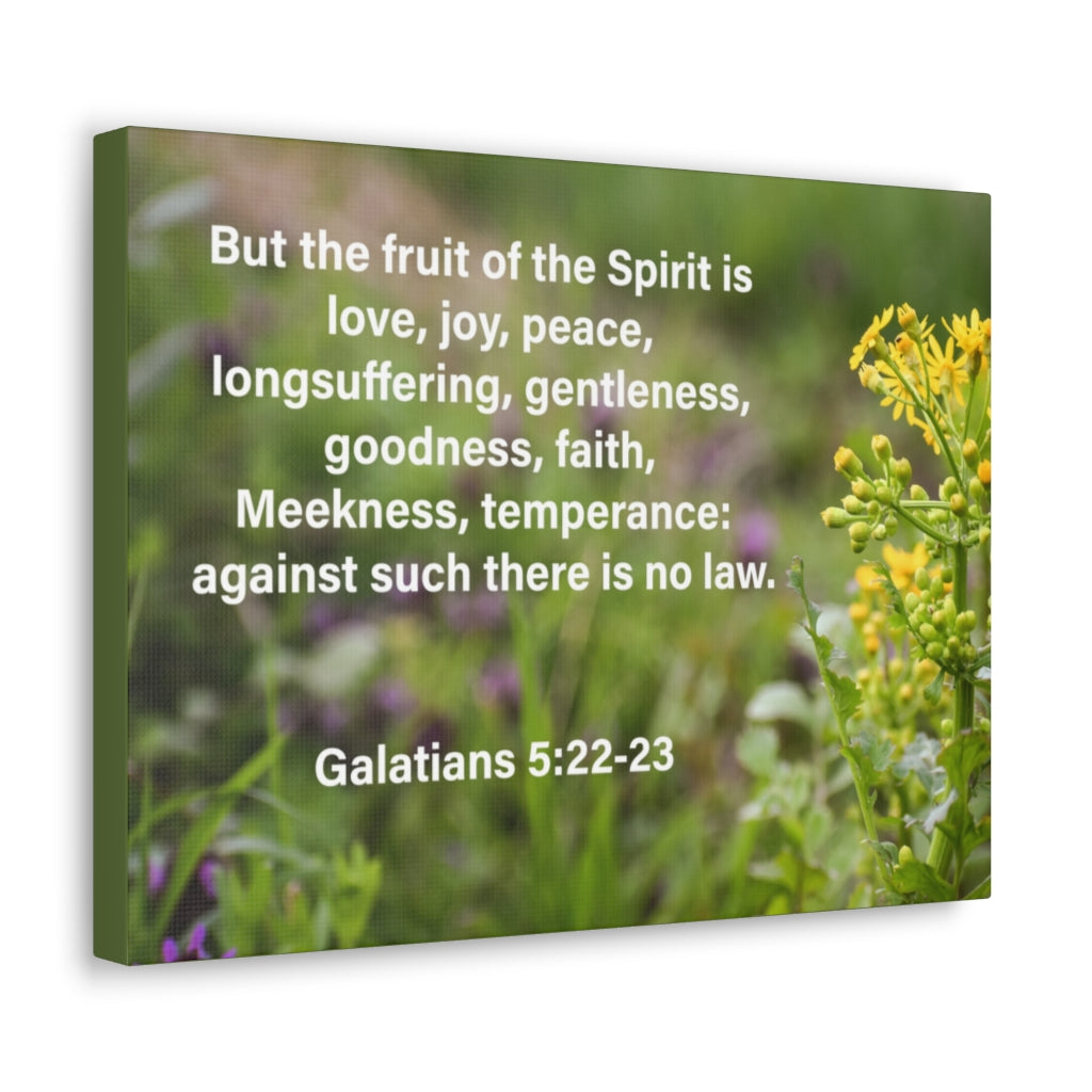 Scripture Walls Gentleness Goodness Faith Galatians 5:22-23 Bible Verse Canvas Christian Wall Art Ready to Hang Unframed-Express Your Love Gifts