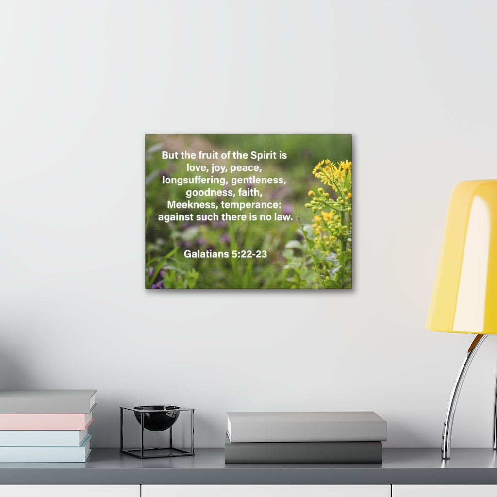 Scripture Walls Gentleness Goodness Faith Galatians 5:22-23 Bible Verse Canvas Christian Wall Art Ready to Hang Unframed-Express Your Love Gifts