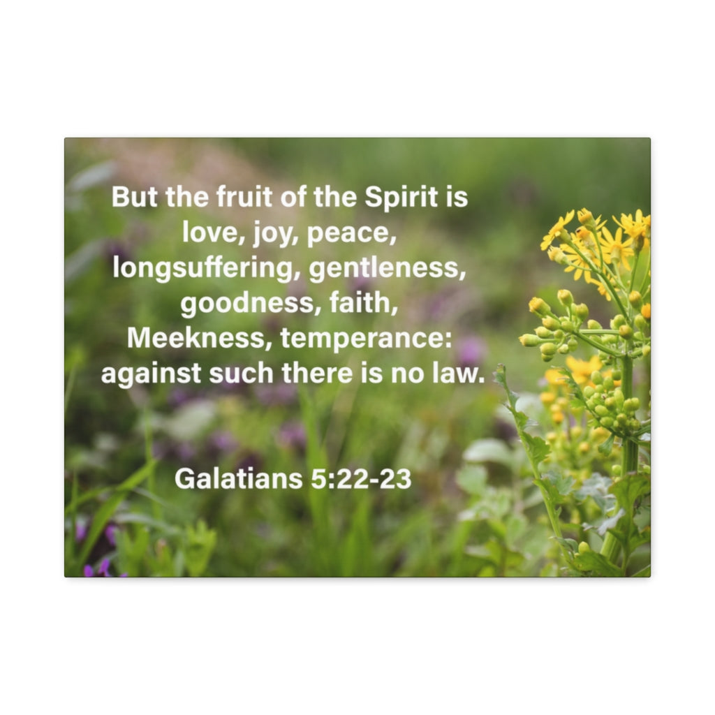 Scripture Walls Gentleness Goodness Faith Galatians 5:22-23 Bible Verse Canvas Christian Wall Art Ready to Hang Unframed-Express Your Love Gifts