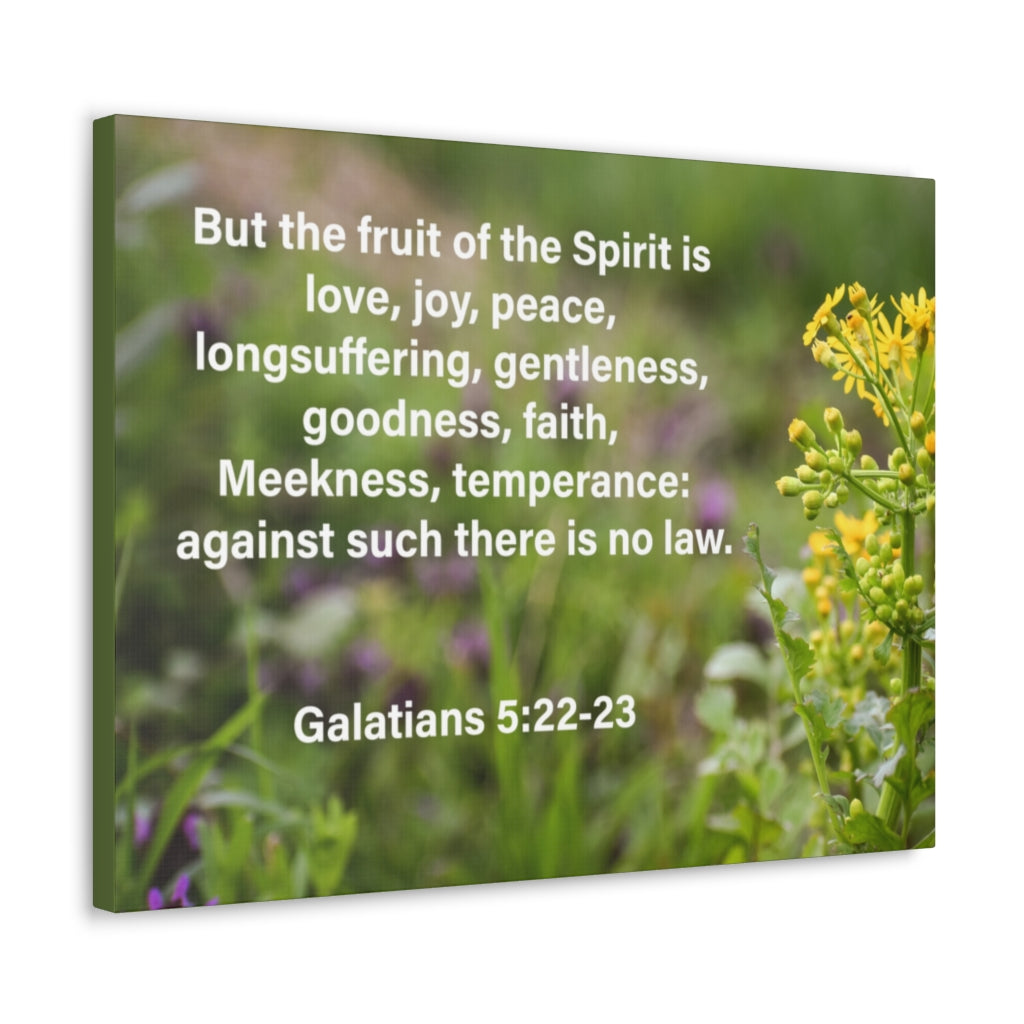 Scripture Walls Gentleness Goodness Faith Galatians 5:22-23 Bible Verse Canvas Christian Wall Art Ready to Hang Unframed-Express Your Love Gifts
