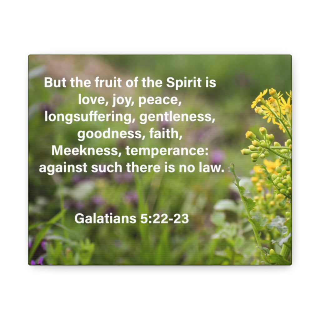 Scripture Walls Gentleness Goodness Faith Galatians 5:22-23 Bible Verse Canvas Christian Wall Art Ready to Hang Unframed-Express Your Love Gifts