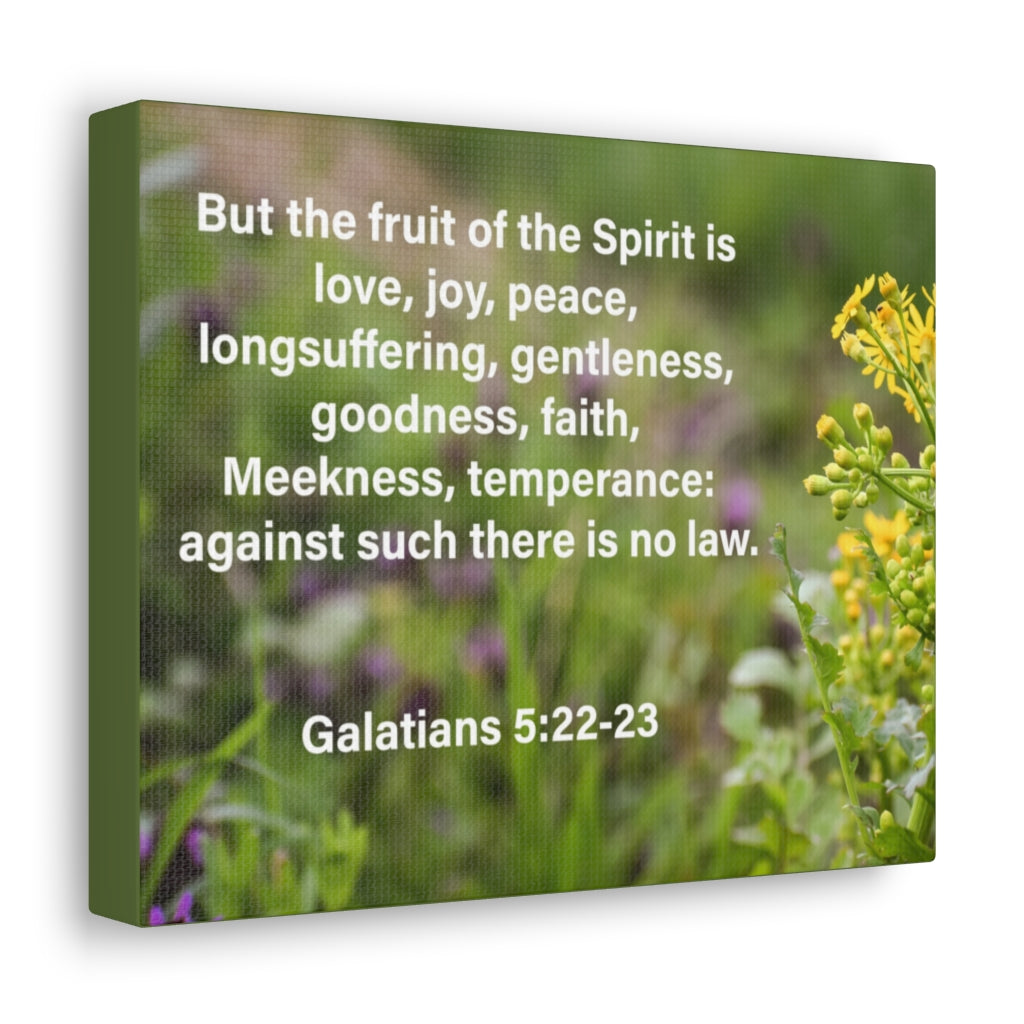 Scripture Walls Gentleness Goodness Faith Galatians 5:22-23 Bible Verse Canvas Christian Wall Art Ready to Hang Unframed-Express Your Love Gifts