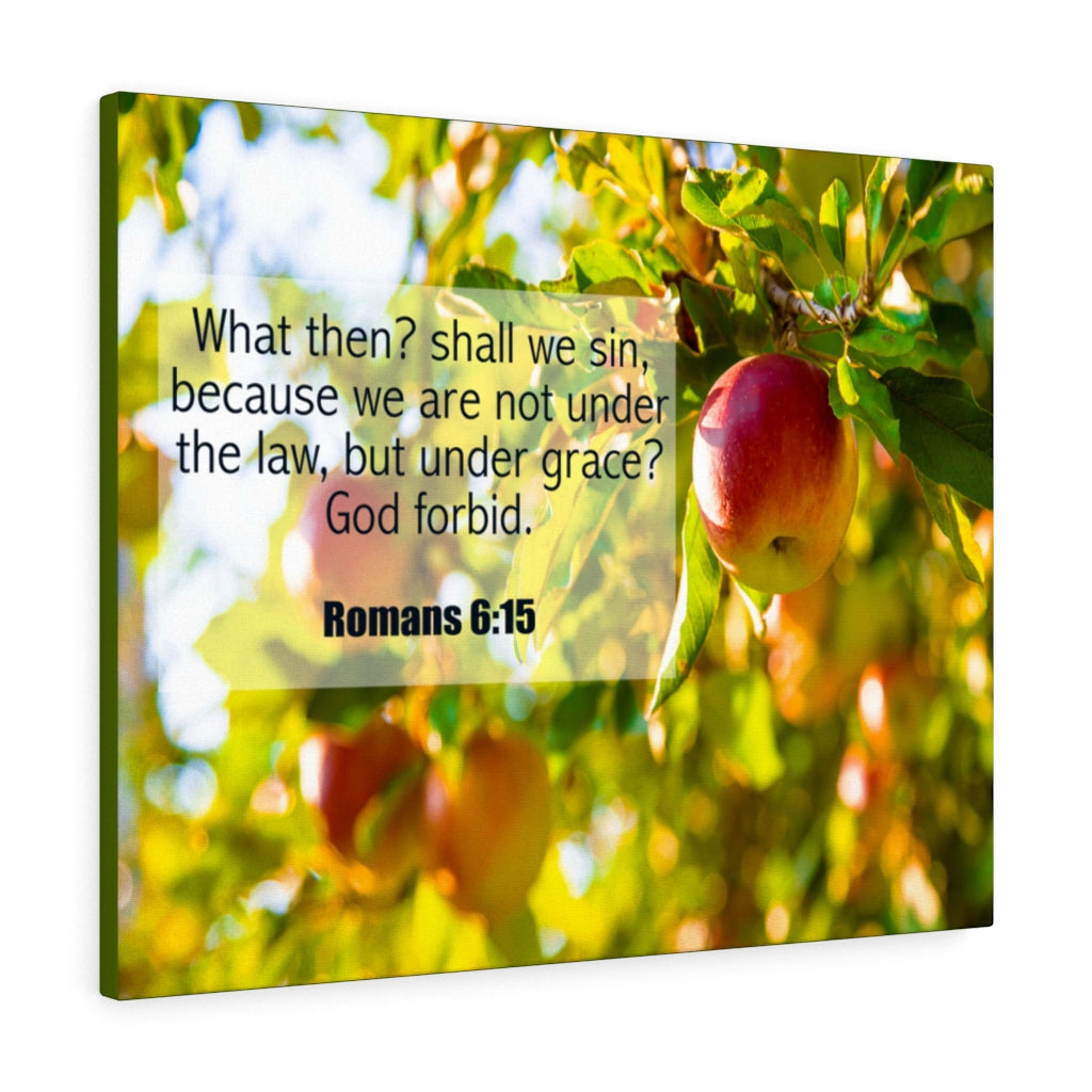 Scripture Walls God Forbid Romans 6:15 Bible Verse Canvas Christian Wall Art Ready to Hang Unframed-Express Your Love Gifts