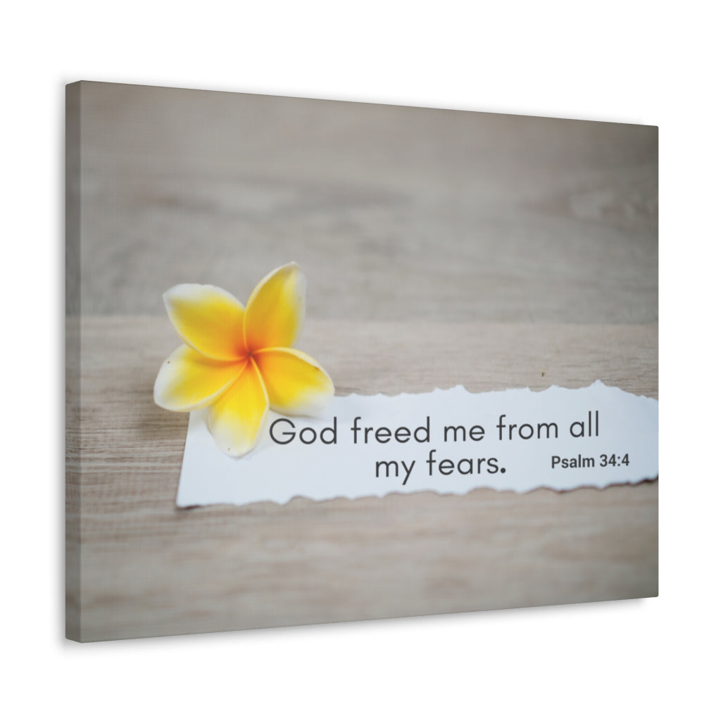 Scripture Walls God Freed Me From All My Fears Psalm 34:4 Bible Verse Canvas Christian Wall Art Ready to Hang Unframed-Express Your Love Gifts