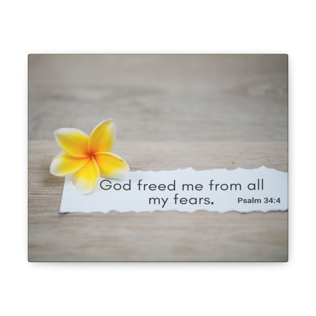 Scripture Walls God Freed Me From All My Fears Psalm 34:4 Bible Verse Canvas Christian Wall Art Ready to Hang Unframed-Express Your Love Gifts