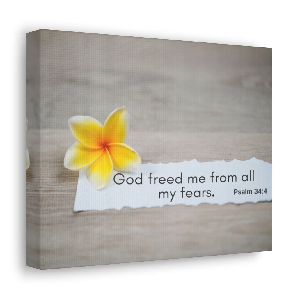 Scripture Walls God Freed Me From All My Fears Psalm 34:4 Bible Verse Canvas Christian Wall Art Ready to Hang Unframed-Express Your Love Gifts