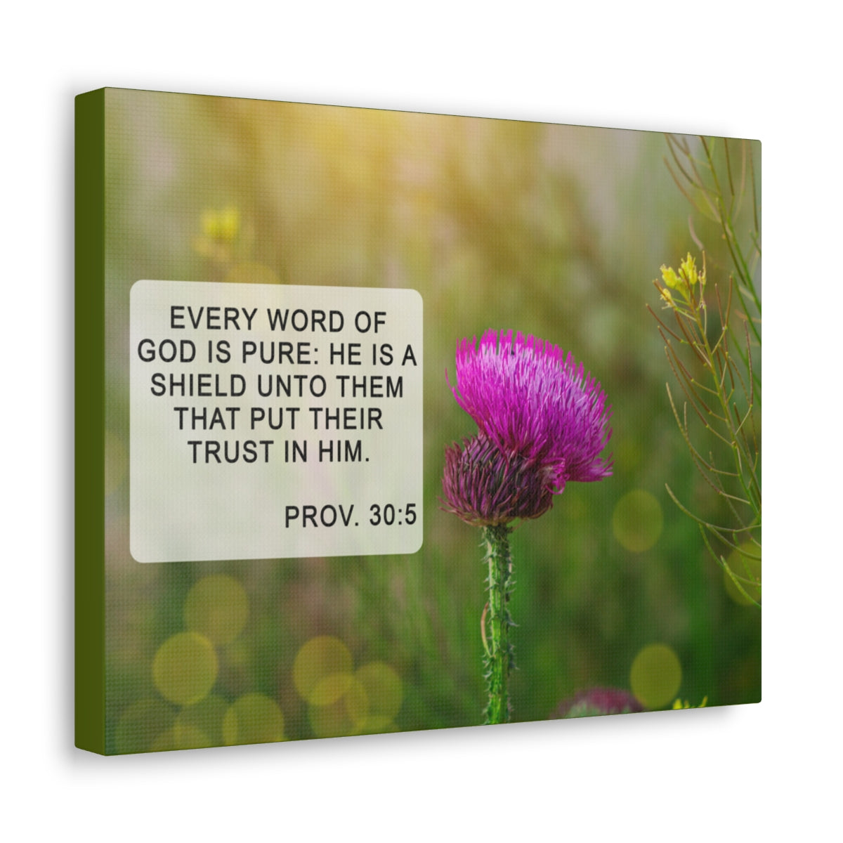 Scripture Walls God Is Pure Proverbs 30:5 Bible Verse Canvas Christian Wall Art Bible Verse Print Ready To Hang Unframed-Express Your Love Gifts