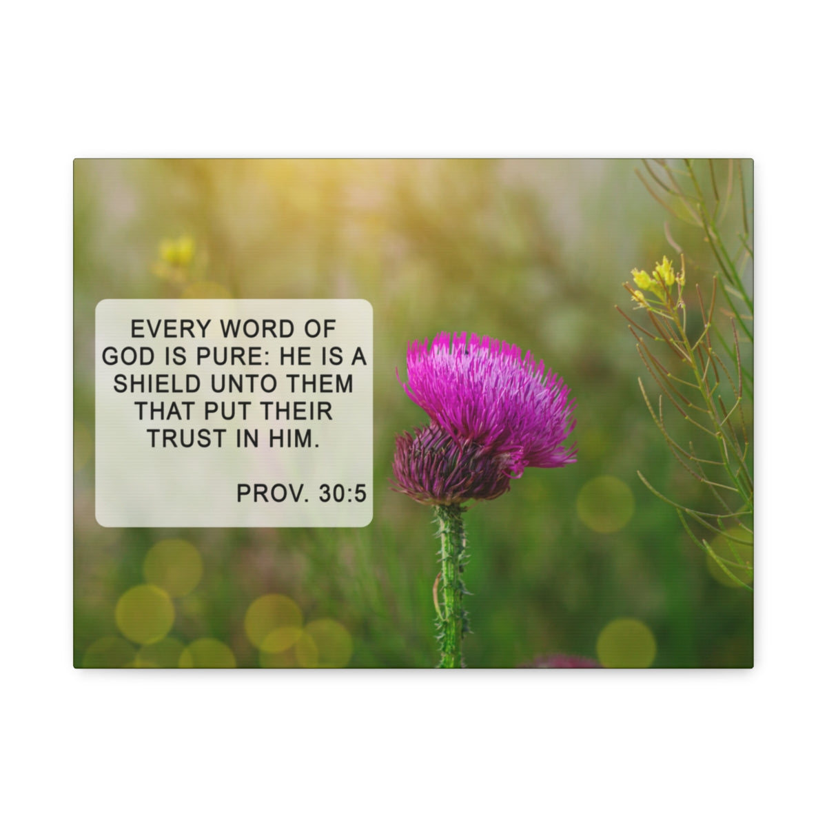 Scripture Walls God Is Pure Proverbs 30:5 Bible Verse Canvas Christian Wall Art Bible Verse Print Ready To Hang Unframed-Express Your Love Gifts