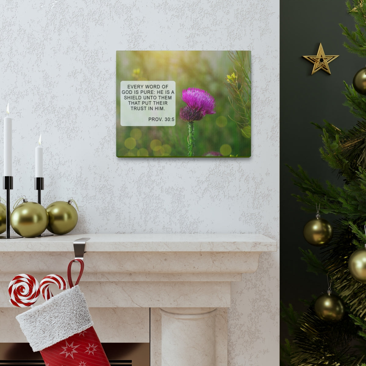 Scripture Walls God Is Pure Proverbs 30:5 Bible Verse Canvas Christian Wall Art Bible Verse Print Ready To Hang Unframed-Express Your Love Gifts