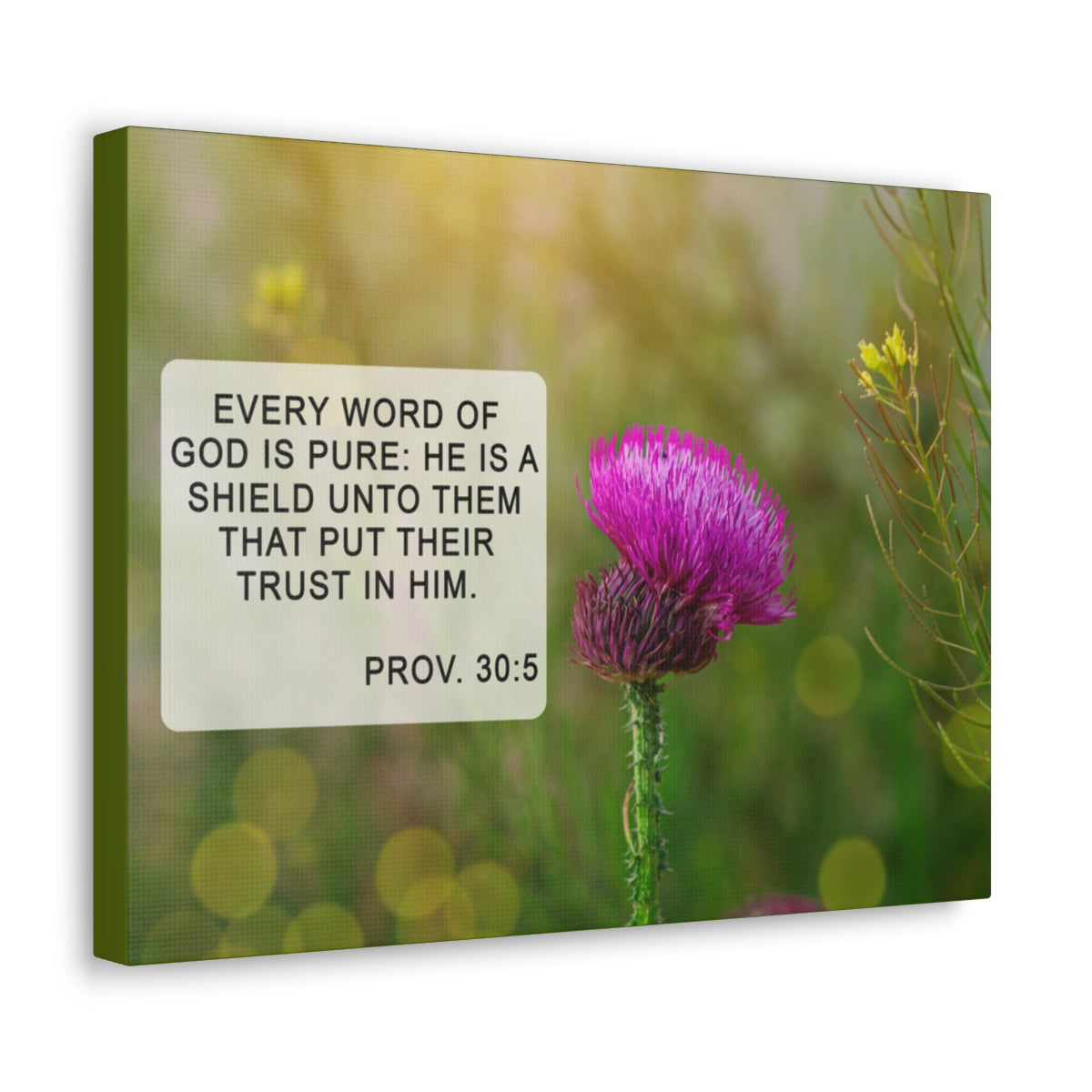Scripture Walls God Is Pure Proverbs 30:5 Bible Verse Canvas Christian Wall Art Bible Verse Print Ready To Hang Unframed-Express Your Love Gifts