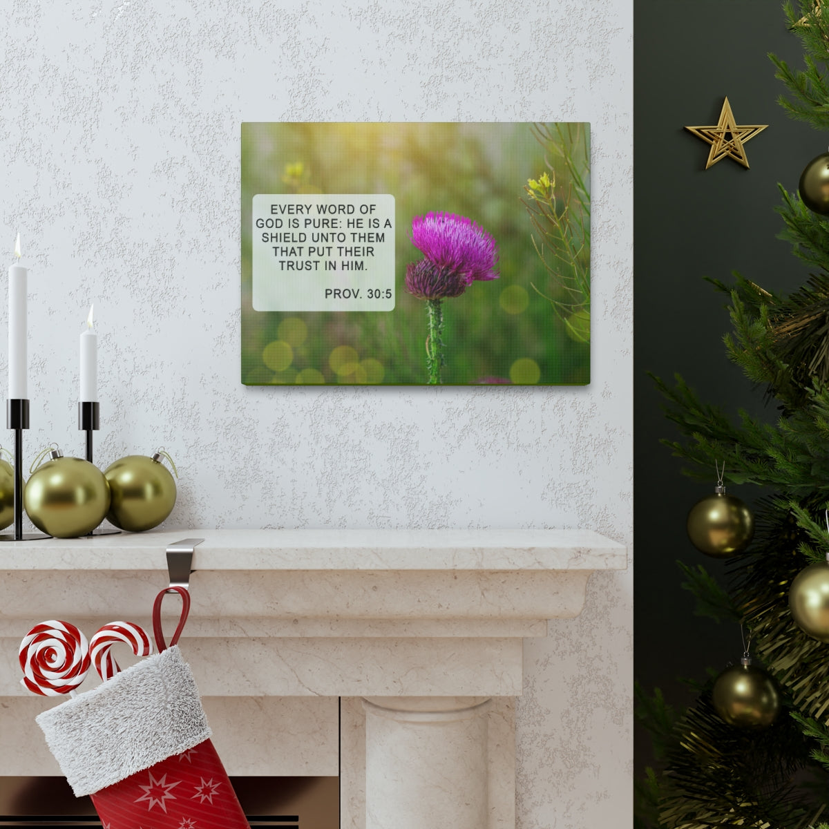 Scripture Walls God Is Pure Proverbs 30:5 Bible Verse Canvas Christian Wall Art Bible Verse Print Ready To Hang Unframed-Express Your Love Gifts