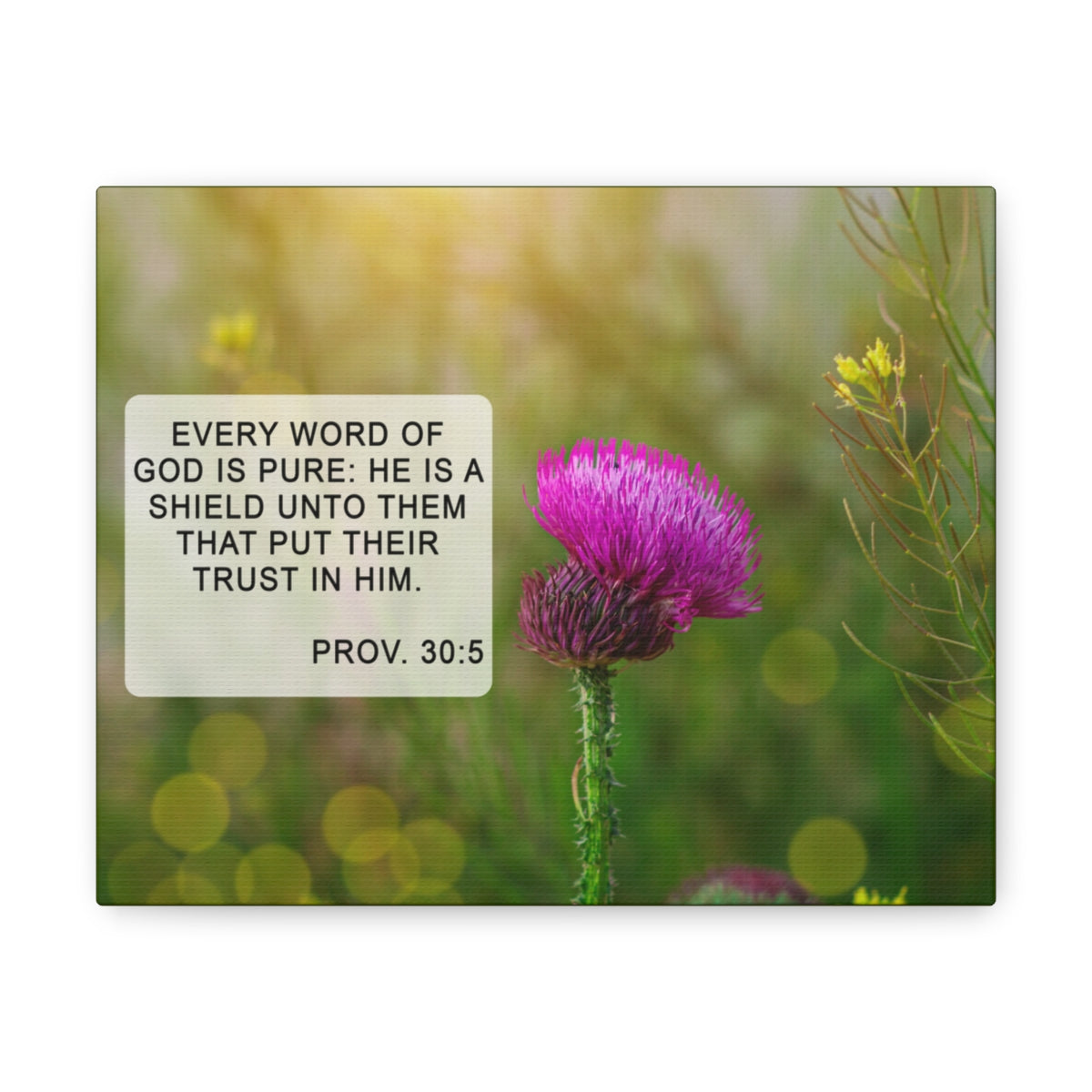 Scripture Walls God Is Pure Proverbs 30:5 Bible Verse Canvas Christian Wall Art Bible Verse Print Ready To Hang Unframed-Express Your Love Gifts