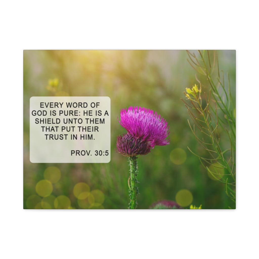 Scripture Walls God Is Pure Proverbs 30:5 Bible Verse Canvas Christian Wall Art Ready to Hang Unframed-Express Your Love Gifts