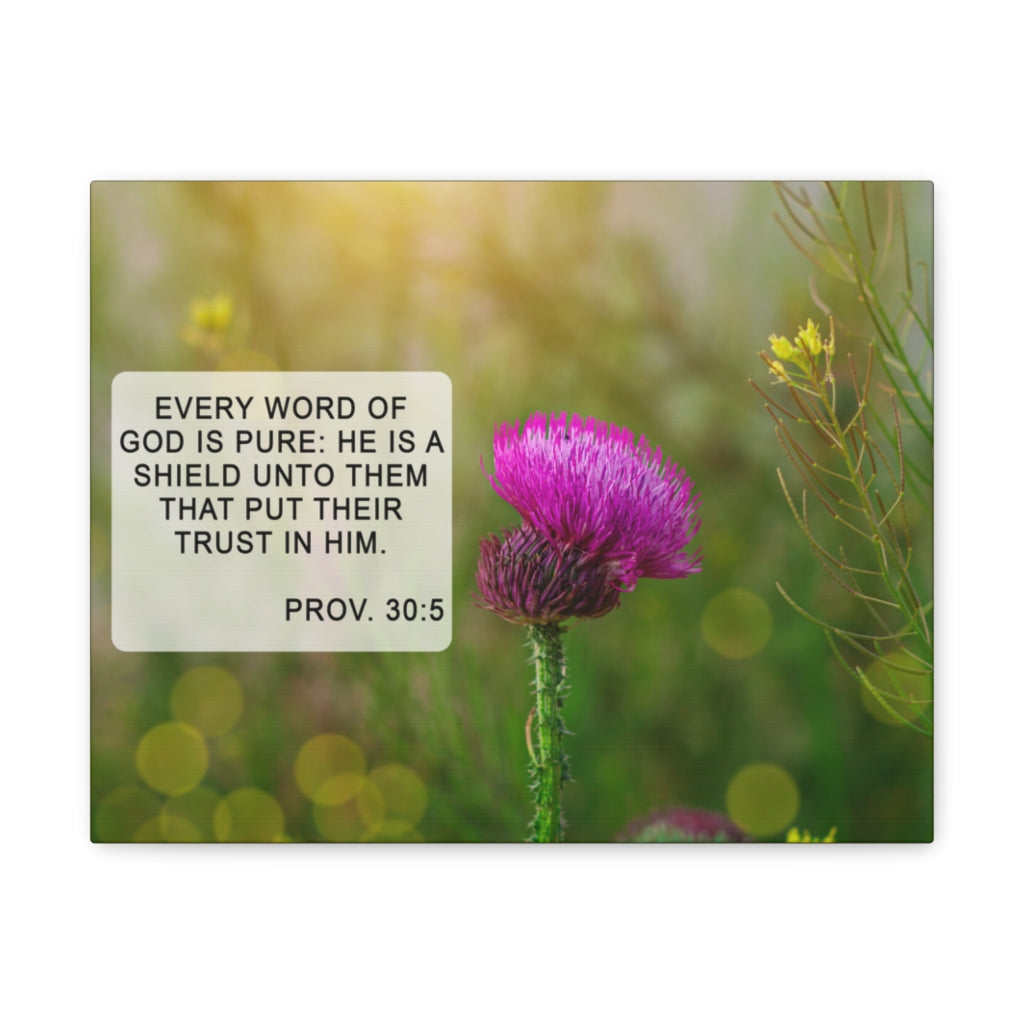 Scripture Walls God Is Pure Proverbs 30:5 Bible Verse Canvas Christian Wall Art Ready to Hang Unframed-Express Your Love Gifts