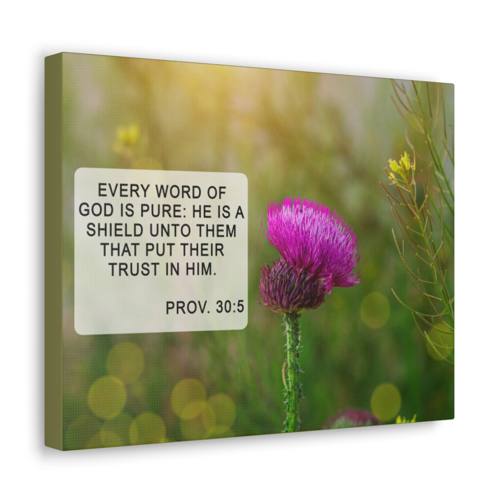 Scripture Walls God Is Pure Proverbs 30:5 Bible Verse Canvas Christian Wall Art Ready to Hang Unframed-Express Your Love Gifts