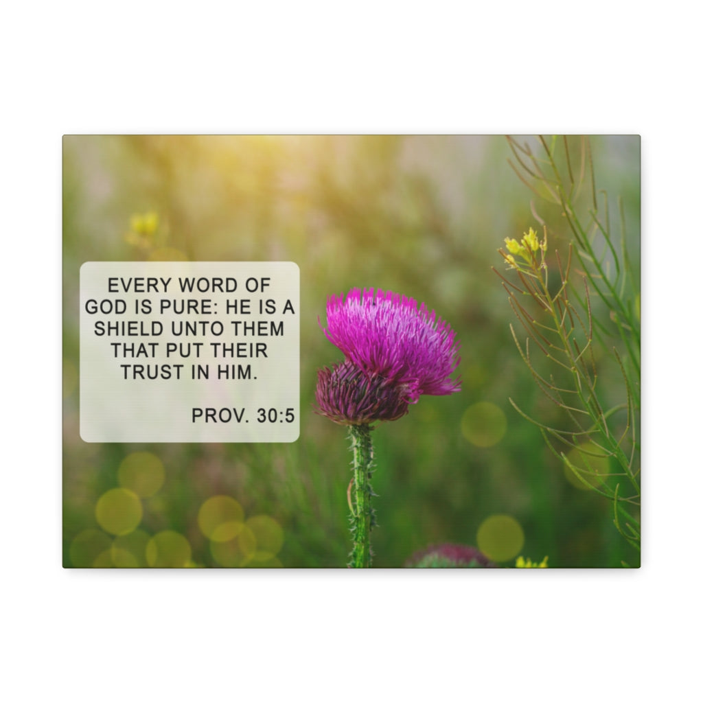 Scripture Walls God Is Pure Proverbs 30:5 Bible Verse Canvas Christian Wall Art Ready to Hang Unframed-Express Your Love Gifts