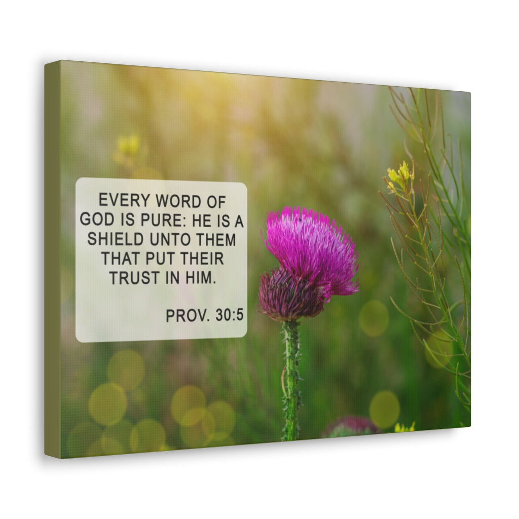 Scripture Walls God Is Pure Proverbs 30:5 Bible Verse Canvas Christian Wall Art Ready to Hang Unframed-Express Your Love Gifts