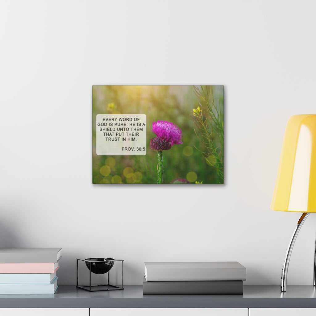 Scripture Walls God Is Pure Proverbs 30:5 Bible Verse Canvas Christian Wall Art Ready to Hang Unframed-Express Your Love Gifts