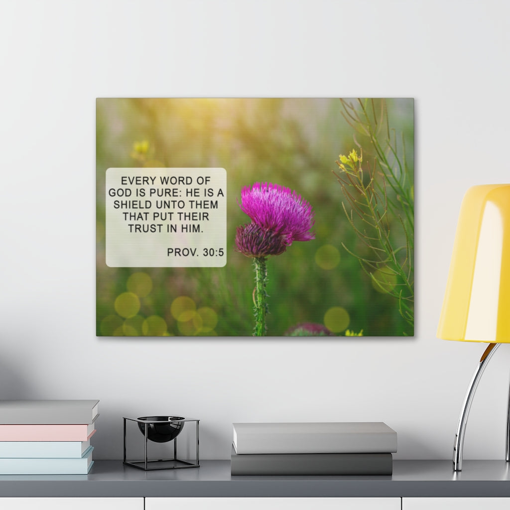 Scripture Walls God Is Pure Proverbs 30:5 Bible Verse Canvas Christian Wall Art Ready to Hang Unframed-Express Your Love Gifts