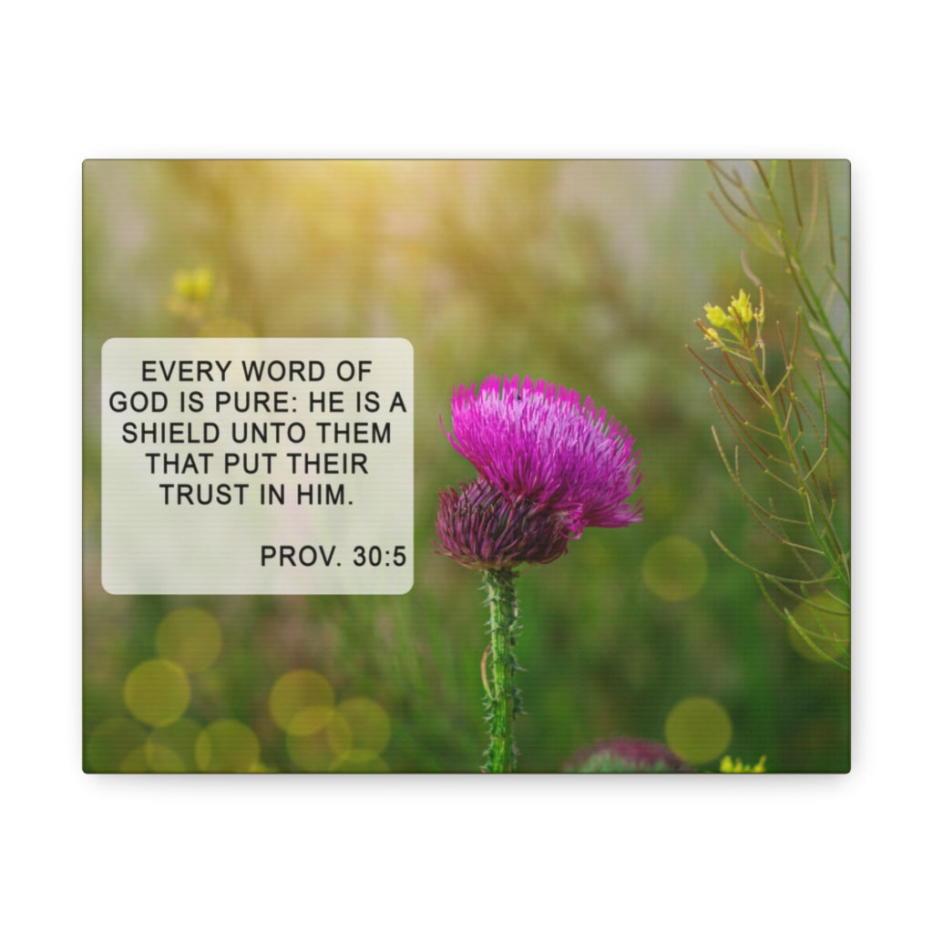 Scripture Walls God Is Pure Proverbs 30:5 Bible Verse Canvas Christian Wall Art Ready to Hang Unframed-Express Your Love Gifts