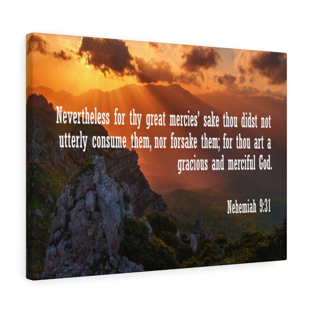 Scripture Walls Gracious and Merciful God Nehemiah 9:31 Bible Verse Canvas Christian Wall Art Ready to Hang Unframed-Express Your Love Gifts
