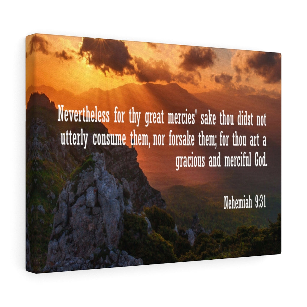 Scripture Walls Gracious and Merciful God Nehemiah 9:31 Bible Verse Canvas Christian Wall Art Ready to Hang Unframed-Express Your Love Gifts