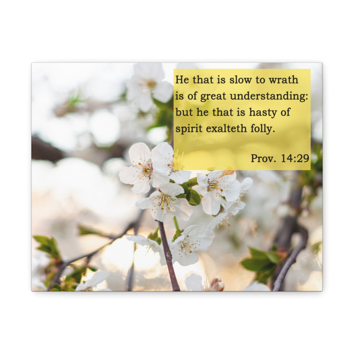 Scripture Walls Great Understanding Proverbs 14:29 Bible Verse Canvas Christian Wall Art Bible Verse Print Ready To Hang Unframed-Express Your Love Gifts