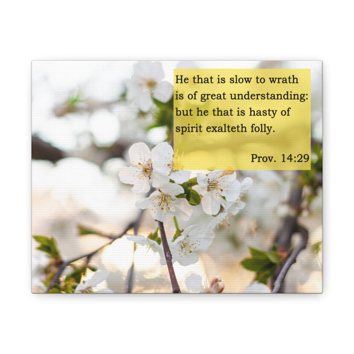 Scripture Walls Great Understanding Proverbs 14:29 Bible Verse Canvas Christian Wall Art Bible Verse Print Ready To Hang Unframed-Express Your Love Gifts