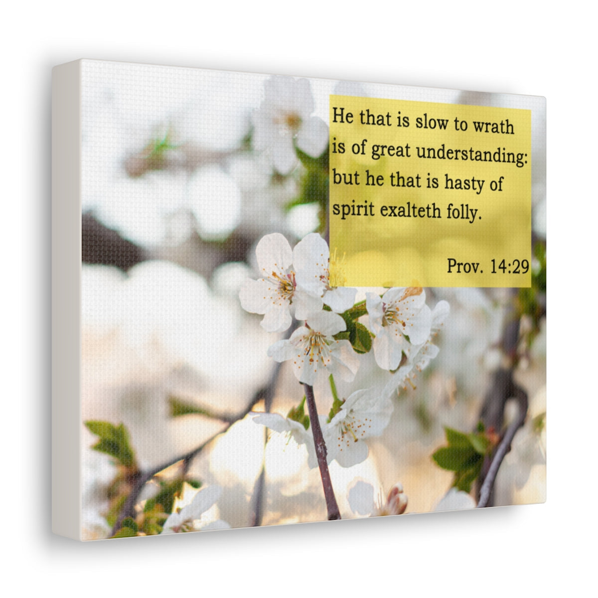 Scripture Walls Great Understanding Proverbs 14:29 Bible Verse Canvas Christian Wall Art Bible Verse Print Ready To Hang Unframed-Express Your Love Gifts
