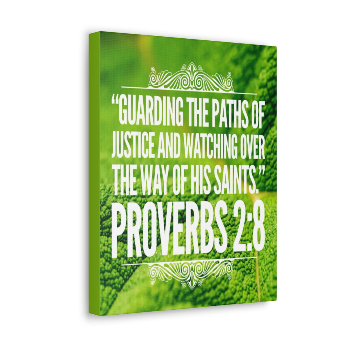 Scripture Walls Guarding The Paths Proverbs 2:8 Bible Verse Canvas Christian Wall Art Bible Verse Print Ready To Hang Unframed-Express Your Love Gifts